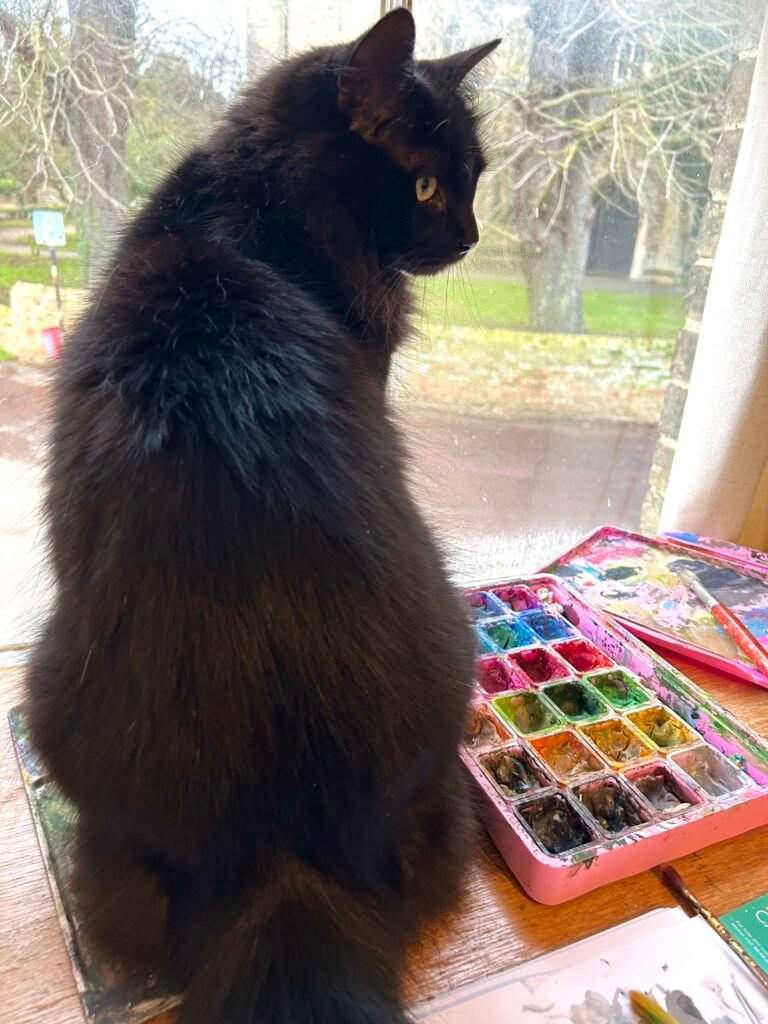 My cat Pedro overseeing the painting process